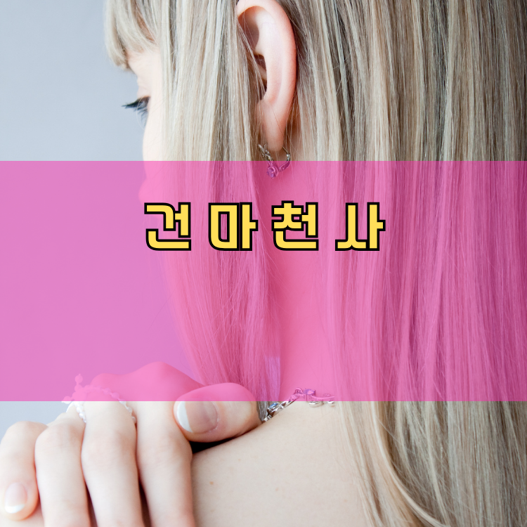 수원시 장안구 경기 지역 안내